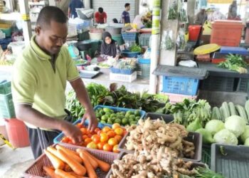 SAUDI Mamat mengakui sayur mengalami kenaikan harga membuatkan dia berada dalam dilema untuk berniaga semasa tinjauan di Pasar Besar Wakaf Bharu, Tumpat, Kelantan. – FOTO/ROHANA ISMAIL