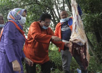 TENGKU Adnan Tengku Mansor melapah daging korban pada Majlis Ibadah Korban Perwakilan Penduduk Putrajaya di Presint 9, Putrajaya. - UTUSAN/ FAISOL MUSTAFA