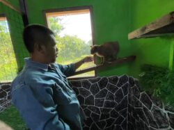 Suami isteri gila kucing - Utusan Digital