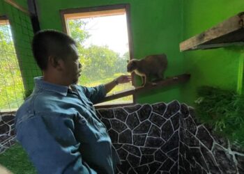 NIK Mustafa Almuai menjinakkan kucing peliharaannya di Taman Perumahan Darul Salam, Pasir Puteh, Kelantan. -UTUSAN/TOREK SULONG
