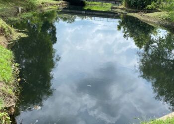 KEADAAN di Sungai Ngulang, Padang Besar, Perlis masih sama apabila air yang sebelum ini jernih masih berwarna hitam manakala bangkai-bangkai ikan sudah dikutip.