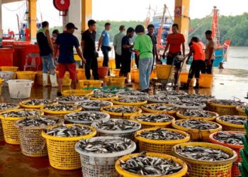 MUSIM tengkujuh memungkinkan pendaratan ikan menjadi kurang.GAMBAR HIASAN
