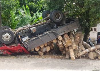 KEADAAN lori dengan muatan kayu getah dipandu Muhammad Marrohaimi Muhammad yang terbalik selepas hilang kawalan dan terbabas di Kilometer 12, Jalan Gaung-Kuala Ping-Teris di Kampung Kepah di Hulu Terengganu, Terengganu hari ini. - IHSAN POLIS