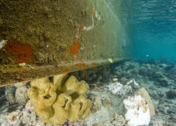 TONGKANG yang melanggar terumbu karang di Pulau Mabul, Semporna, Sabah.