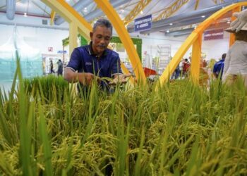 PEMPAMER Lembaga Kemajuan Pertanian Kemubu (KADA) melakukan persiapan ketika tinjauan persiapan Pameran Pertanian Hortikultur dan Agropelancongan Malaysia (MAHA) 2022 di Taman Ekspo Pertanian Malaysia (MAEPS). - UTUSAN/FARIZ RUSADIO