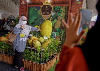 SERDANG 4 OGOS 2022 - Para pengunjung tidak melepaskan peluang bergambar bersama buah dari keluarga ÄòArtocarpusÄô iaitu nangka, cempedak dan sukun sebagai buah utama yang akan diketengahkan di kluster Castle of Fruits ketika tinjauan Pameran Pertanian Hortikultur dan Agropelancongan Malaysia (MAHA) 2022 di Taman Ekspo Pertanian Malaysia (MAEPS) di sini, hari ini. GAMBAR: FARIZ RUSADIO / PEMBERITA: AISYAH KOSMO / KAMARIAH (BIRO PUTRAJAYA)
