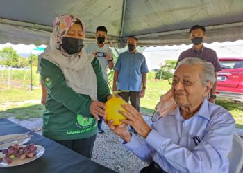DR. Mahathir Mohamad tertarik dengan buah Golden Melon yang ditanam di Lang Agro Farm di Kampung Padang Gaong, Ulu Melaka, Langkawi hari ini. - UTUSAN/ZAID MOHD. NOOR