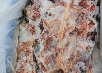 DAGING lembu sejuk beku yang berjaya dirampas MAQIS Selangor di dalam sebuah kontena di Pelabuhan Klang Barat, Selangor kelmarin.