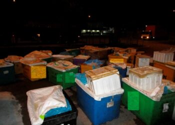 ANTARA produk laut bernilai RM92,760 yang dirampas Maqis di KSAB, Iskandar Puteri, Johor.