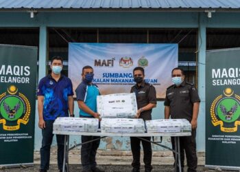 MAQIS menyerahkan 680kg daging kerbau sejuk beku yang dilucutkan hak kepada Penjara Penor, Pahang untuk dijadikan sumber makanan ternakan ikan keli.