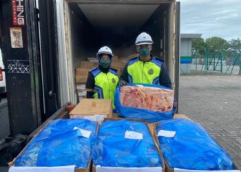 MAQIS Selangor menahan sebuah kontena membawa daging sejuk beku dari Australia seberat 25kg di Pelabuhan Klang Barat, Pelabuhan Klang, Selangor kelmarin.