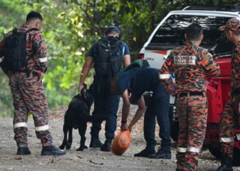 UNIT K-9 PDRM dan JBPM bersiap sedia mengesan seorang lelaki yang sesat sewaktu menjalankan aktiviti pendakian di Bukit Beruang, Melaka. – FOTO/AMRAN MULUP