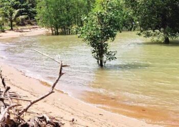 PESISIR Pantai Tanjung Dahan di Kuala Sungai Baru, Melaka antara kawasan tumpuan nelayan mencari belangkas. – FOTO/MUHAMMAD SHAHIZAM TAZALI