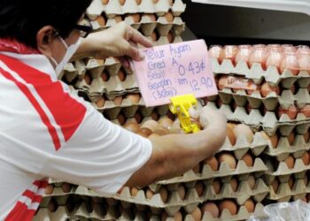 KEKURANGAN bekalan telur ayam bukan sahaja berlaku di kawasan bandar, malah di luar bandar seluruh negara.