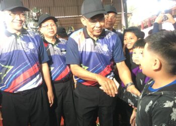 Muafakat Nasional