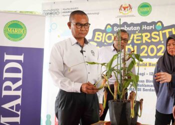 Mohamad Zabawi Abdul Ghani melancarkan varieti baharu pokok kera sempena namanya pada majlis perasmian Hari Biodiversiti Peringkat MARDI 2023, di Serdang , hari ini. - UTUSAN/ MOHD FARIZWAN HASBULLAH