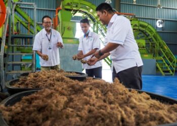 DR. Ridzuan Ramli (kiri) bersama pasukan penyelidiknya  melihat serat kelapa sawit yang telah siap dikeringkan sebelum diproses menjadi pelet ,–  UTUSAN/FARIZ RUSADIO.