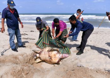 Kegiatan pukat tunda yang dilakukan secara berleluasa dan tanpa pengawasan pihak berkuasa akan merosakkan habitat laut dan kawasan pembiakan ikan. – MINGGUAN/ PUQTRA HAIRRY