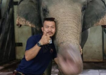 MOHD. Fendi tegas dengan gajah yang dijaganya.