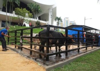 KANDANG dan tempat penyembelihan yang dibina di Masjid Negeri, Negeri Sembilan di Seremban yang mampu memudahkan urusan penyembelihan haiwan korban.