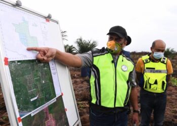 NORDDIN Noor menunjukkan lokasi pencerobohan tanaman kelapa sawit di Hutan Simpan Kuala Langat Selatan yang akan dimusnahkan pihaknya selepas 11 hektar kawasan itu didakwa diceroboh bagi tujuan pertanian secara tidak sah. - FOTO/MOHD. YUNUS YAKKUB
