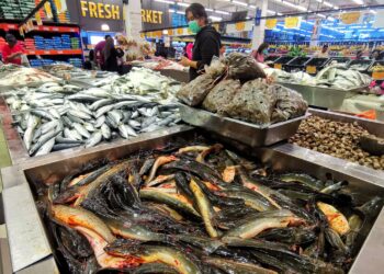 PERTAMBAHAN penduduk negara dan permintaan meningkat untuk makanan laut berkualiti tinggi menyebabkan peningkatan permintaan terhadap produk akuakultur. – UTUSAN/MOHD. SHAHJEHAN MAAMIN