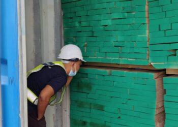 KAYU oak putih dari Jerman ditahan penguatkuasa Jabatan Perkhidmatan Kuarantin dan Pemeriksaan Malaysia (MAQIS) di Pelabuhan Kuantan di Kuantan, Pahang.