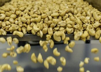 GAMBAR hiasan. - AFP