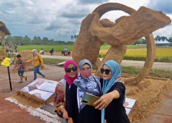 PENANTI 23 Julai 2022 - Sebahagian pengunjung tidak melepaskan peluang berswafoto dengan arca jerami padi sempena Pesta Padi Antarabangsa Pulau Pinang di Kampung Terus, semalam. UTUSAN/IQBAL HAMDAN