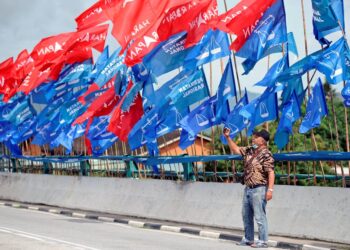 SISTEM pelbagai parti akan terus mewarnai politik negara.