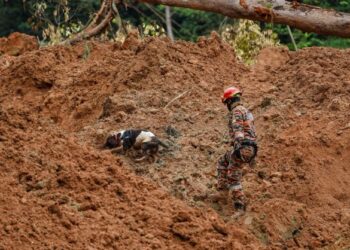 UNIT Anjing Pengesan (K9) pasukan Bomba dan Penyelamat Malaysia melakukan operasi mencari dan menyelamat mangsa yang memasuki hari keempat di lokasi tragedi tanah runtuh di tapak perkhemahan FoF, Batang Kali, hari ini. - FOTO/FARIZ RUSADIO