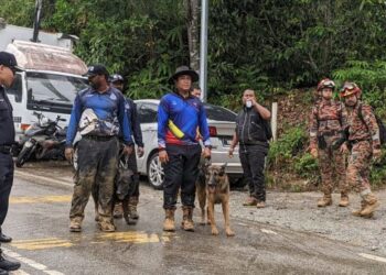ANJING pengesan Unit K9 milik PDRM dilihat meninggalkan lokasi pencarian selepas hujan sekitar pukul 2.30 petang tadi. - FOTO/MOHAMAD HAFIZI MOHD. SAID