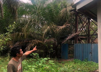 HALIM Johari menunjukkan tangki air yang terdapat di Kampung Sedohok, Kluang, Johor. Penduduk kini bergantung kepada air telaga dan lori tangki bagi mendapatkan bekalan air bersih. - UTUSAN/MOHAMAD FAHD RAHMAT