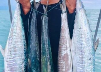 MOHD. Hakim Fauzi menunjukkan ikan tenggiri yang dipancing ketika tiba di Jeti Tok Bali, Pasir Puteh, Kelantan. - UTUSAN/TOREK SULONG