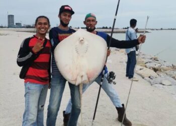 AFIZAM Talib (kanan) bersama Fairoz Aznizam Ahmad dan Ridzuan Sahran meraikan kejayaan menaikkan ikan pari seberat 12KG di Pantai Klebang, Melaka. - UTUSAN/AMRAN MULUP
