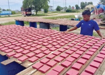 MUHAMMAD Aimy Shahril Mat Ali menjemur belacan sebelum dipasarkan di Kampung Hujung Tanjung, Seberang Takir, Kuala Nerus, Terengganu, hari ini. - UTUSAN/TENGKU DANISH BAHRI TENKU YUSOFF
