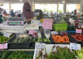 SYAZANA Mohd. Salleh berniaga sayur-sayuran di kedainya di Pasar Besar Alor Setar hari ini. - UTUSAN/NUR ANATI JUHARI