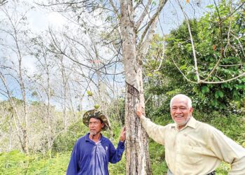 KEGEMBIRAAN terpancar di raut wajah penoreh getah di Gua Musang, Kelantan selepas kerajaan mengumumkan khabar gembira buat mereka menerusi pembentangan Belanjawan 2023 kelmarin. - MINGGUAN/AIMUNI TUAN LAH