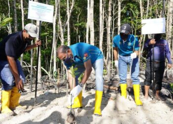 M. SARAVANAN menanam anak pokok bakau sempena Program Penanaman Semula Pokok Bakau PERKESO
di Sungai Besar, Sepang.
