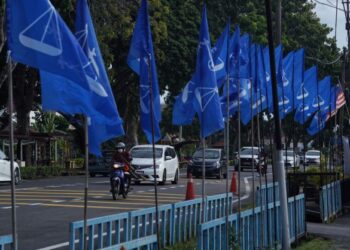 GERAK kerja MCA sebagai parti komponen BN dikatakan lesu di Pulau Pinang..