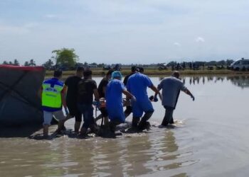 SEORANG pesawah ditemukan meninggal dunia dalam keadaan tertiarap di dalam bendang miliknya di Padang Tembusu di Penaga, Pulau Pinang hari ini.