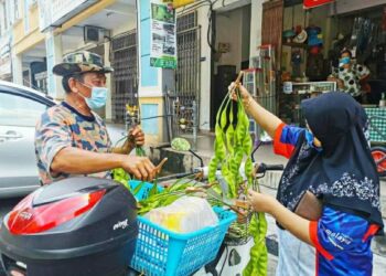 MD. YUSUF Mohd. Nor melayan seorang pelanggan yang memilih petai yang dijualnya pada harga RM5 seikat di sekitar Alor Gajah, Melaka. - UTUSAN/DIYANATUL ATIQAH ZAKARYA