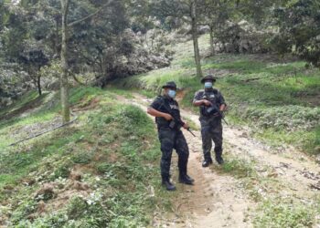 DUA anggota PGA berkawal di ladang durian dekat Hutan Simpan Kekal Batu Talam, Raub semalam ekoran insiden provokasi yang dicetuskan pekebun semasa operasi oleh Jabatan Perhutanan Negeri Pahang, kelmarin. – UTUSAN/ABDUL RASHID ABDUL RAHMAN