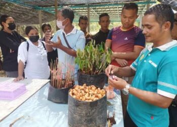 SEBAHAGIAN peserta Orang Asli diberi tunjuk ajar tentang tanaman benih durian kampung sempena Kursus Agronomi Tanaman Durian di Kampung Sungai Berjuang di Jerantut, Pahang. - FOTO/HARIS FADILAH AHMAD