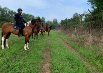 UNIT berkuda FRU melakukan penugasan di kawasan pagar sempadan Perlis.