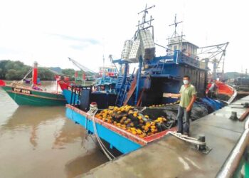 LIEW SEAK THONG menunjukkan deretan bot C2 yang tidak beroperasi di pelantar ikan Lembaga Kemajuan Ikan Malaysia (LKIM) di Kuala Perlis, semalam. - UTUSAN/ SYED AZLAN SAYID HIZAR