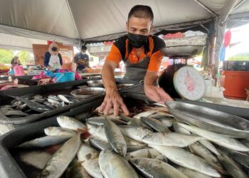 IKAN kembung paling digemari penduduk Malaysia. - UTUSAN/NAZLINA NADZARI