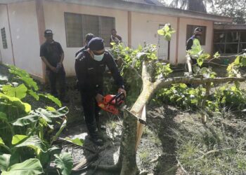 BADERULHISHAM Baharudin menyertai operasi tebang pokok ketum di Felda Rimba Mas, Padang Besar, Perlis, hari ini.- UTUSAN/NAZLINA NADZARI