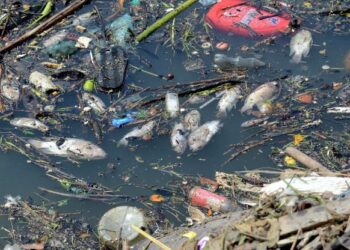 SAM menggesa Kerajaan Negeri Pulau Pinang mengambil tindakan penguatkuasaan yang agresif dalam menangani isu pencemaran Sungai Pinang.