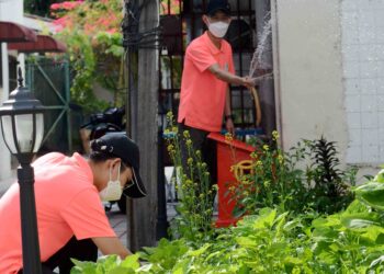 RANCANGAN Buku Hijau pernah dilaksanakan pada 1970-an bagi mempromosi bidang pertanian. -GAMBAR HIASAN